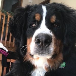 Meet your Posher, Whitney